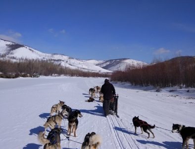 Dog sledding Mongolia