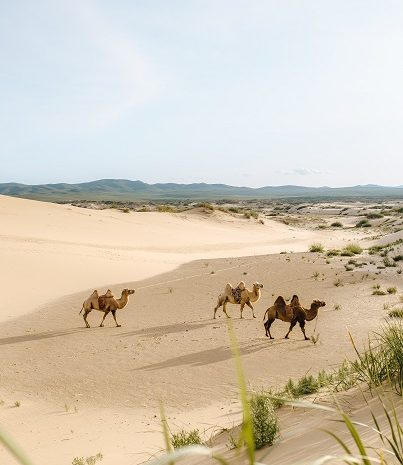 Mongolia -- usukhbayar-gankhuyag-1