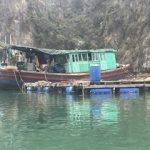 Vietnam   <br>Solo trip